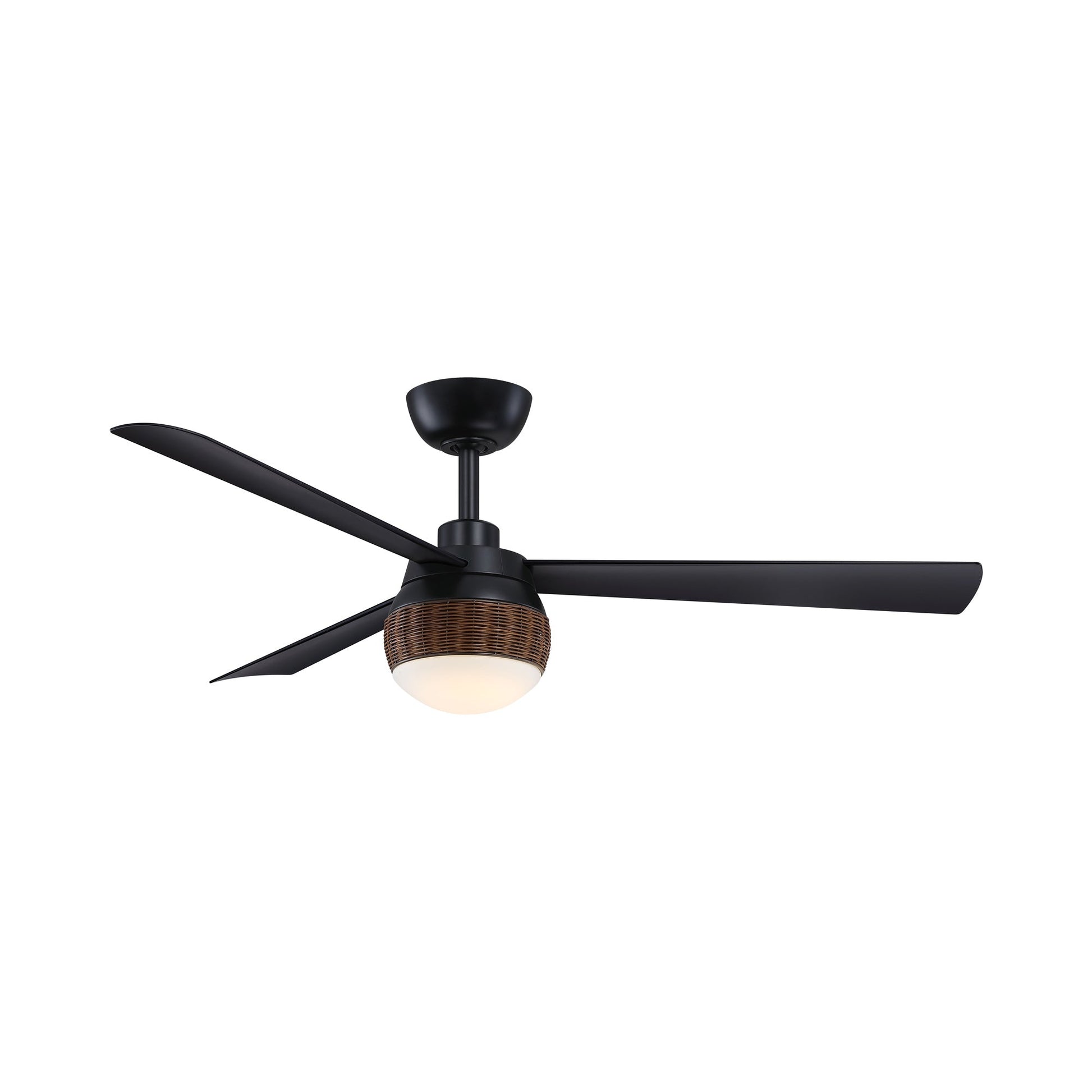 Paget Indoor / Outdoor LED Ceiling Fan in Black.