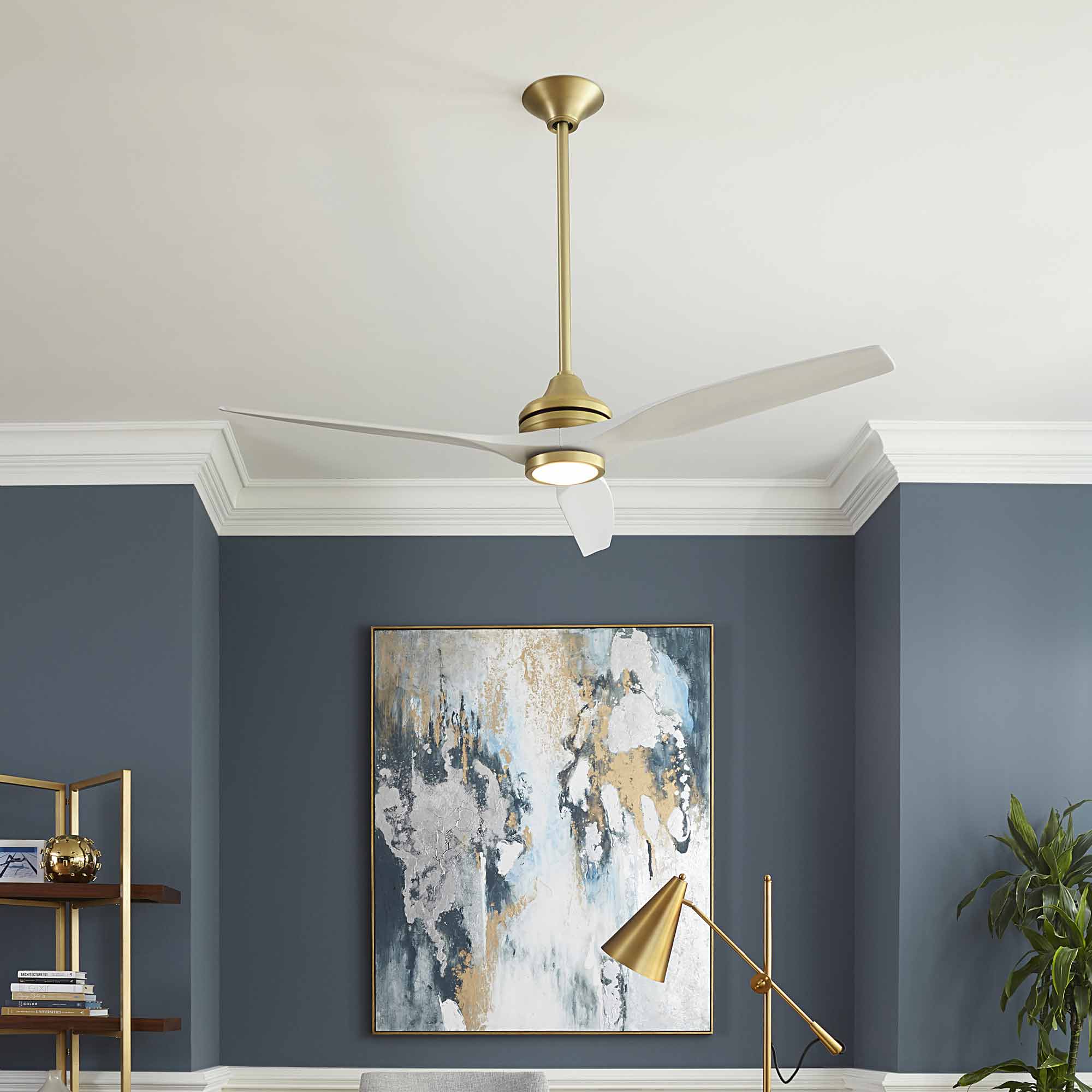 City Lights Showroom