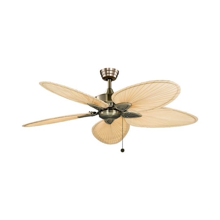 Windpointe Indoor Ceiling Fan in Antique Brass.