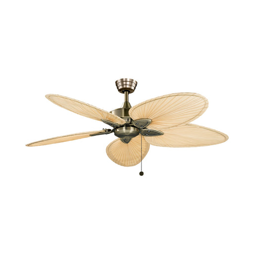 Windpointe Indoor Ceiling Fan.