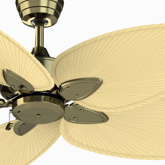 Windpointe Indoor Ceiling Fan in Detail.