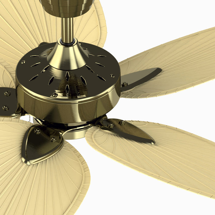 Windpointe Indoor Ceiling Fan in Detail.