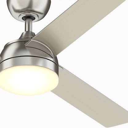 Xeno Damp Outdoor LED Ceiling Fan in Detail.
