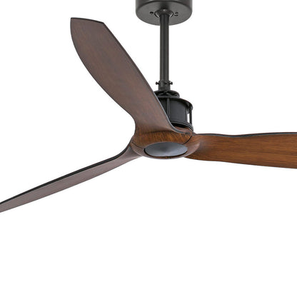 Just Ceiling Fan in Detail.