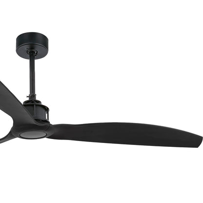 Just Ceiling Fan in Detail.