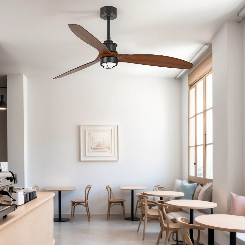 Just Ceiling Fan in coffee shop.