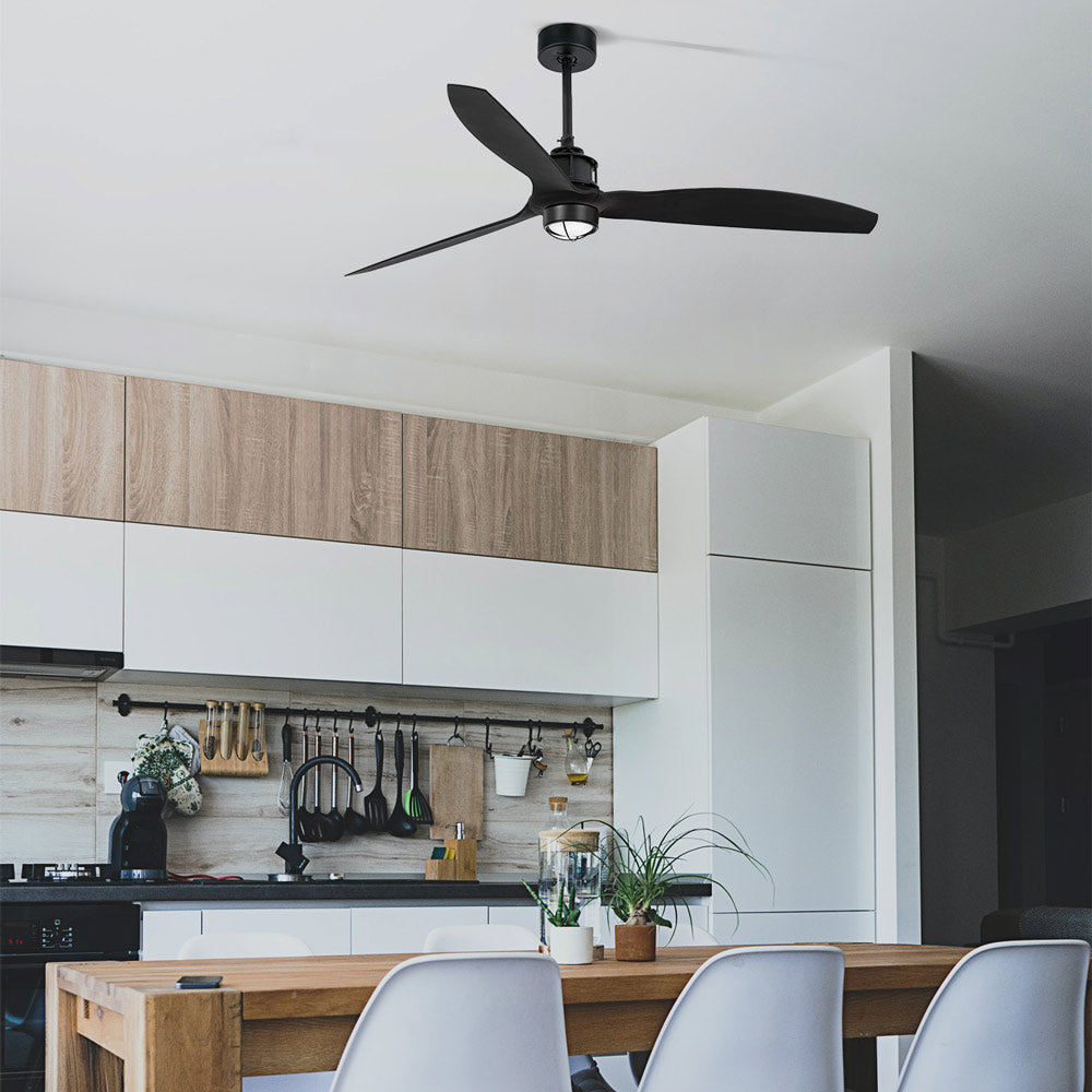 Just Ceiling Fan in kitchen.