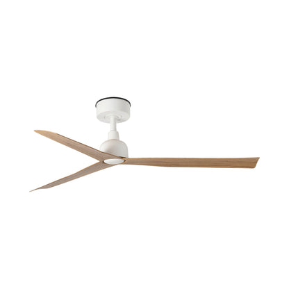 Marine Ceiling Fan.