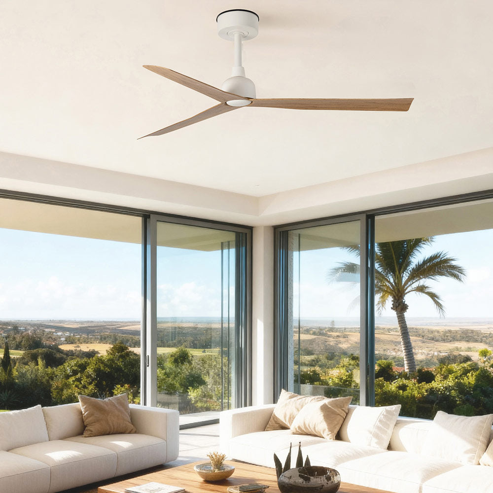 Marine Ceiling Fan in living room.