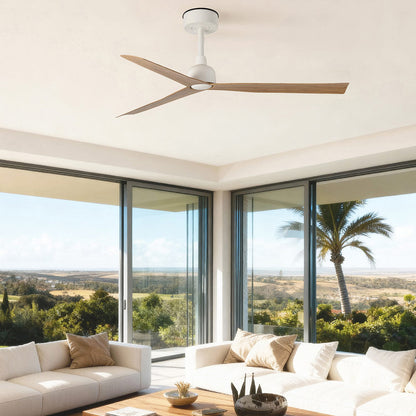 Marine Ceiling Fan in living room.