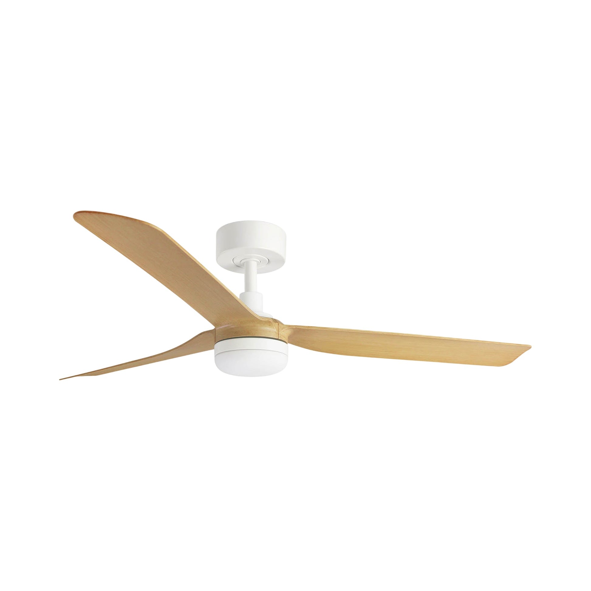 Punt Ceiling Fan.
