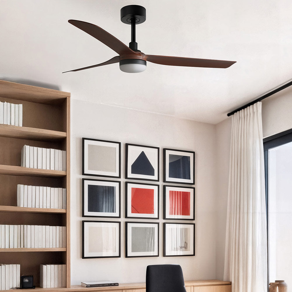 Punt Ceiling Fan in office.