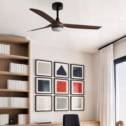 Punt Ceiling Fan in office.