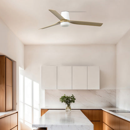 Punt Tub Ceiling Fan in kitchen.