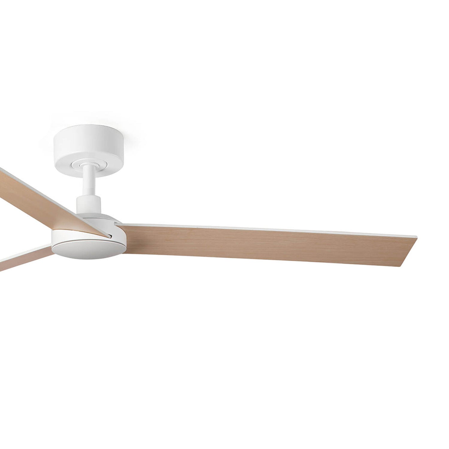 Rudder Ceiling Fan in Detail.