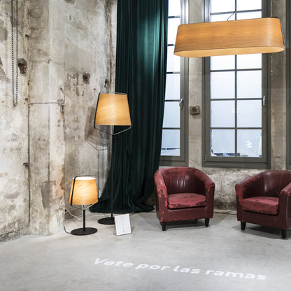 Stood Floor Lamp in living room.