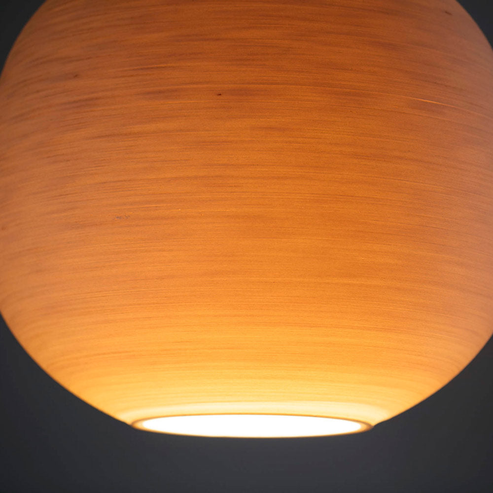 Tierra Pendant Light in Detail.
