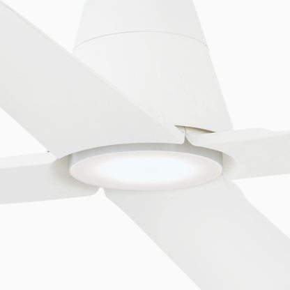 Typhoon Ceiling Fan in Detail.