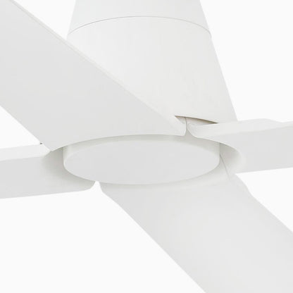 Typhoon Ceiling Fan in Detail.