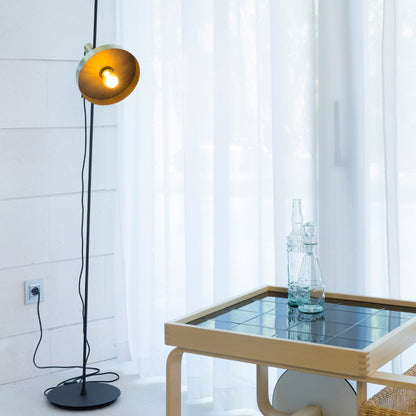 Whizz Floor Lamp in living room.