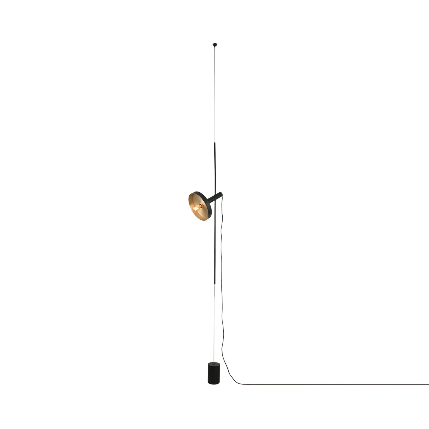 Whizz Pendant Floor Lamp in Black/Satin Gold.