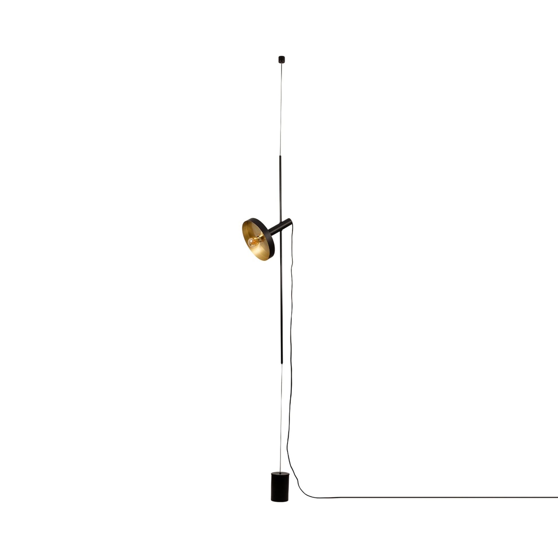 Whizz Pendant Floor Lamp.