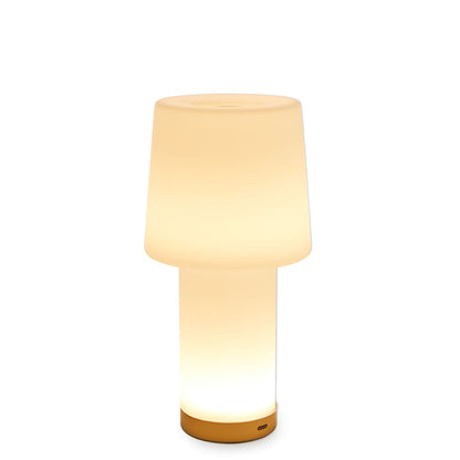 Cameo LED Rechargeable Table Lamp in Detail.