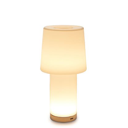 Cameo LED Rechargeable Table Lamp in Detail.