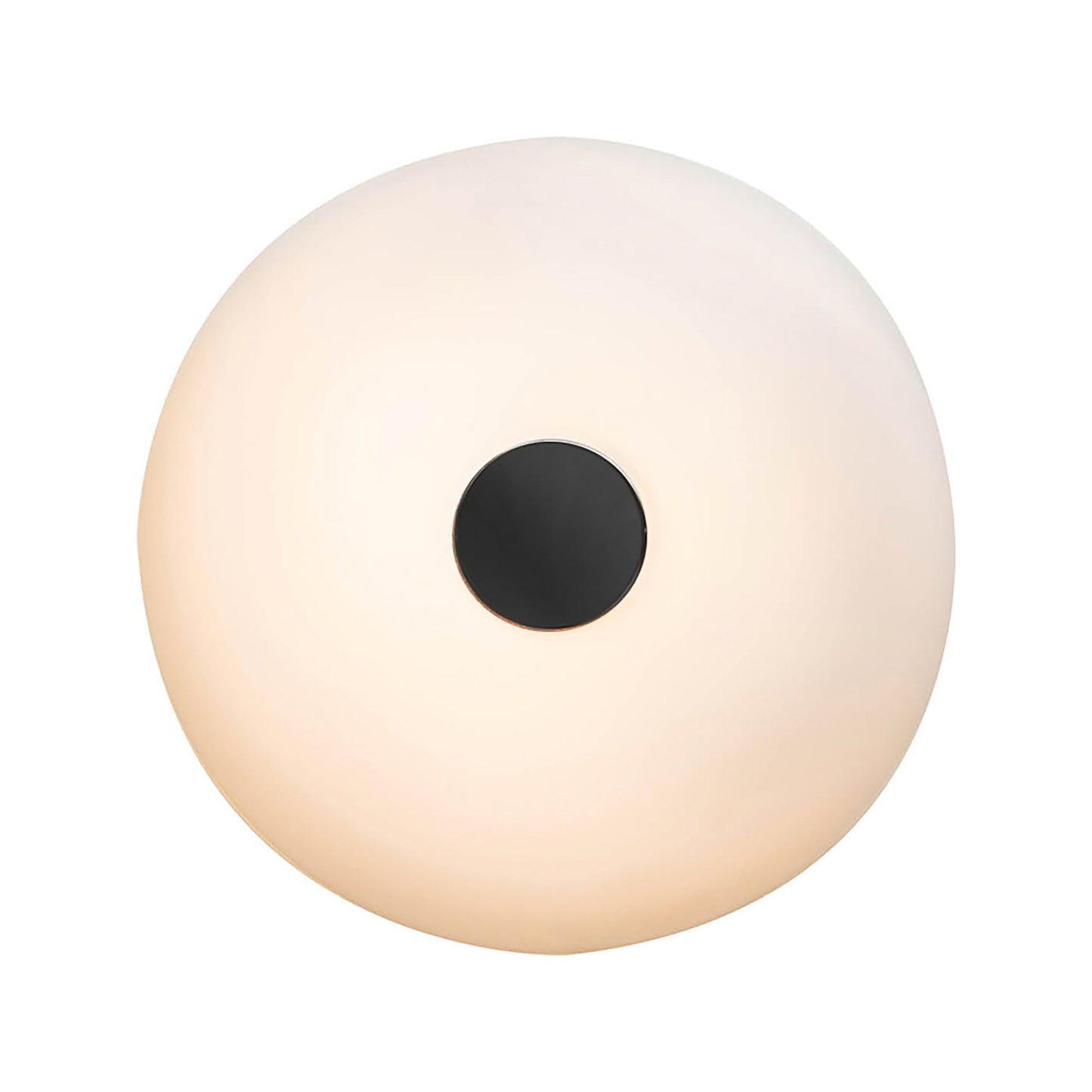 Tropico LED Ceiling / Wall Light in Black (Medium).