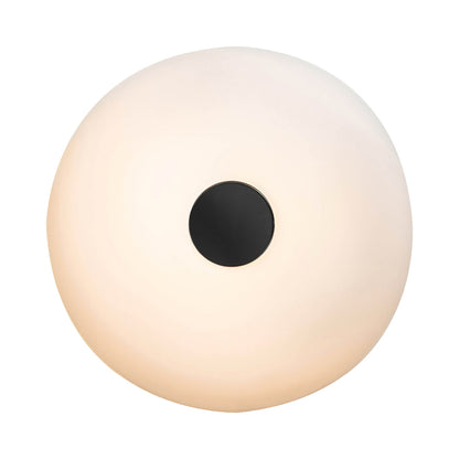 Tropico LED Ceiling / Wall Light in Black (Large).