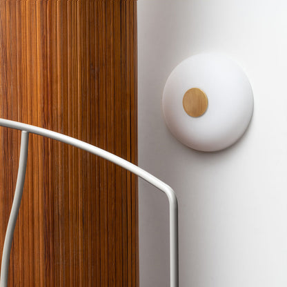 Tropico LED Ceiling / Wall Light in Detail.