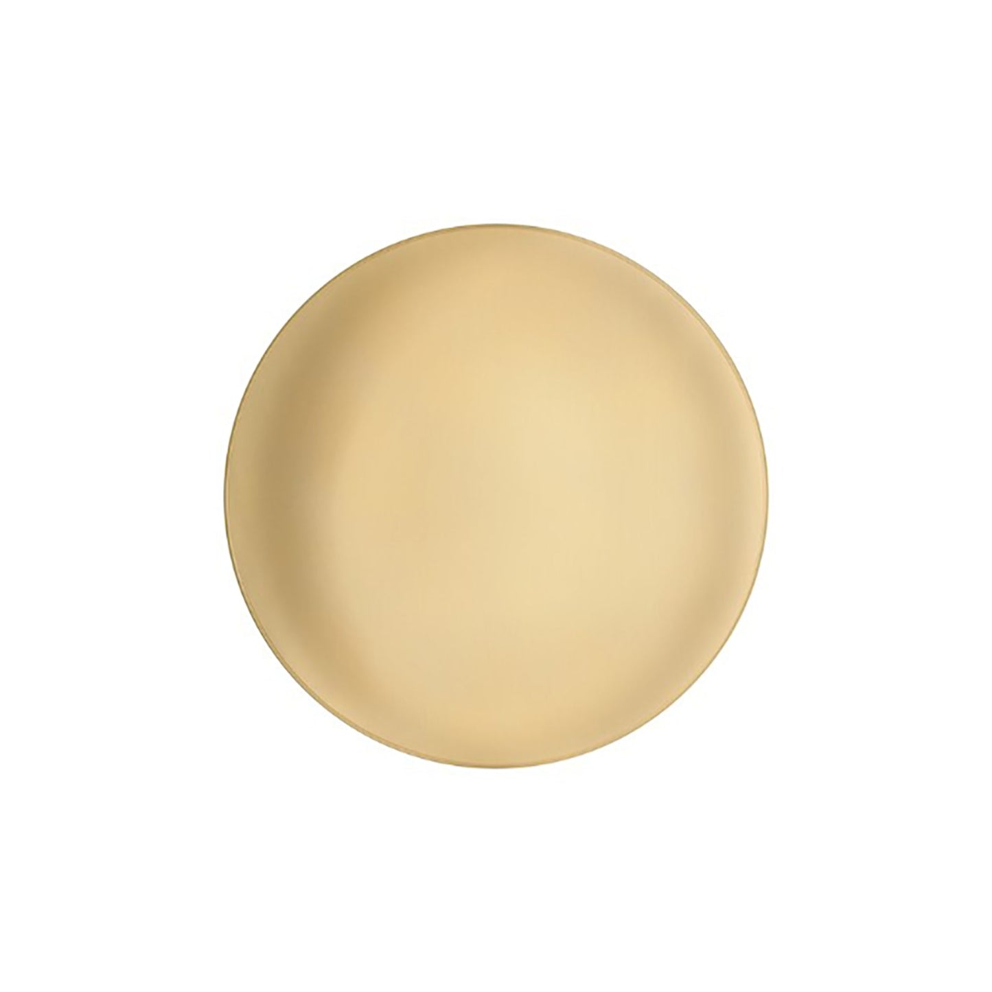 Anoor LED Ceiling/Wall Light.