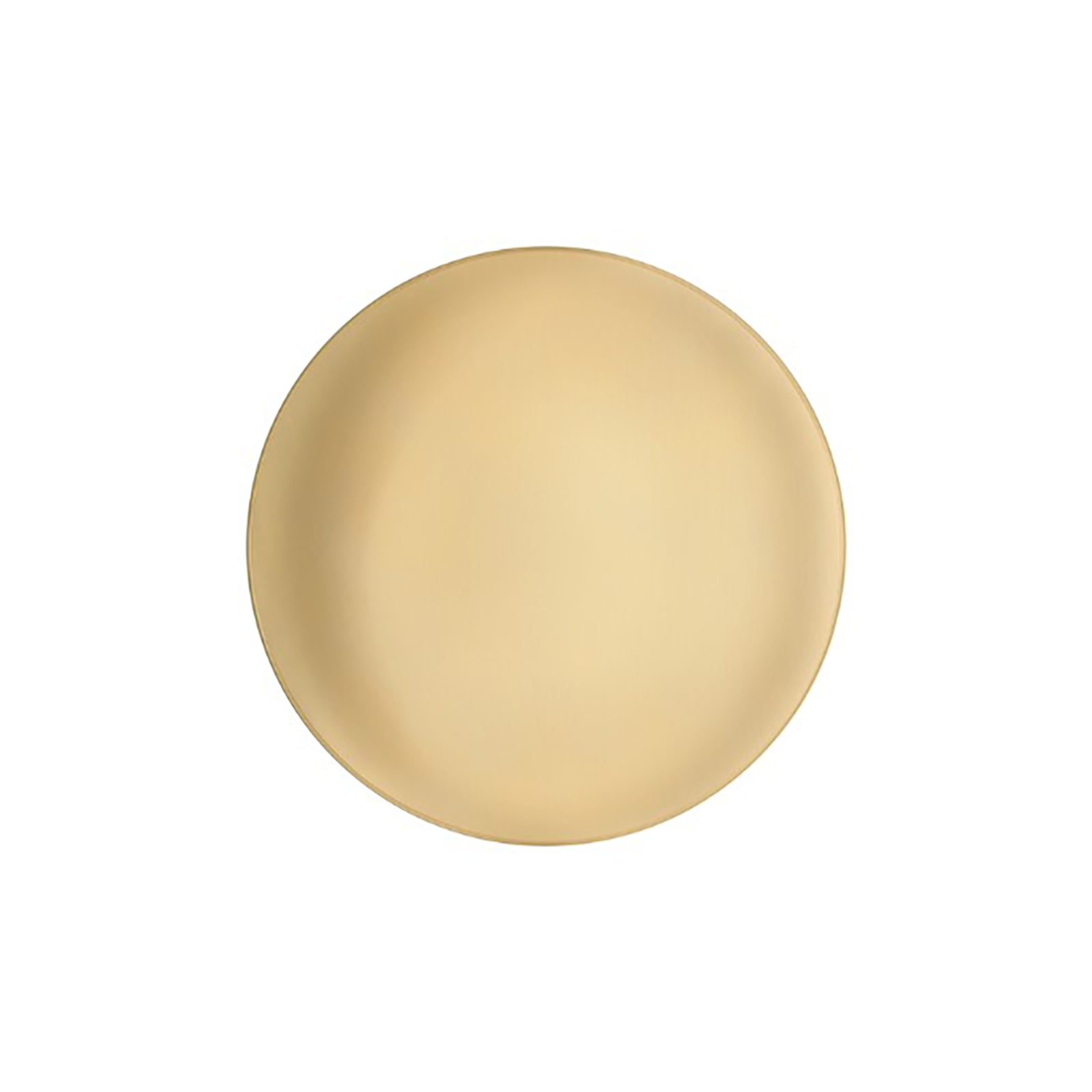 Anoor LED Ceiling/Wall Light.
