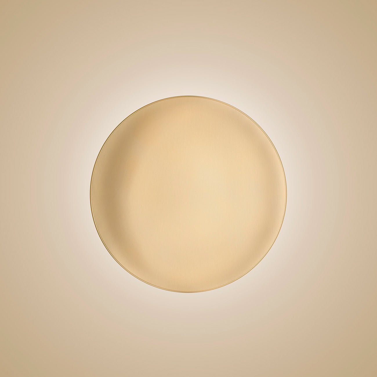 Anoor LED Ceiling/Wall Light in Detail.
