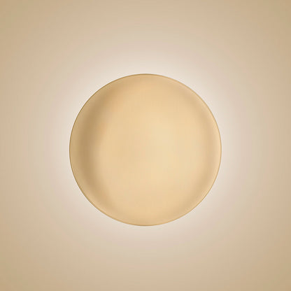 Anoor LED Ceiling/Wall Light in Detail.