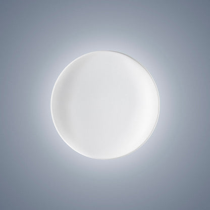 Anoor LED Ceiling/Wall Light in Detail.