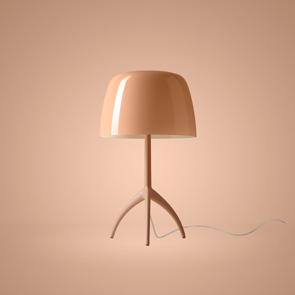 Lumiere Nuances Table Lamp in Detail.