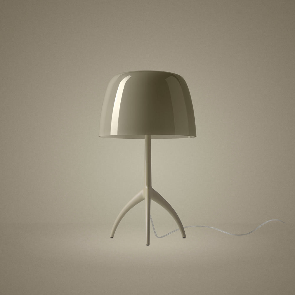 Lumiere Nuances Table Lamp in Detail.
