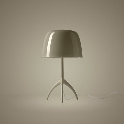 Lumiere Nuances Table Lamp in Detail.