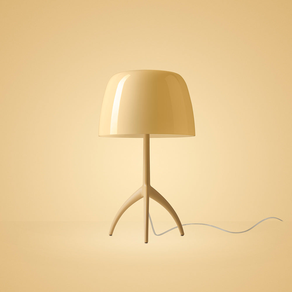 Lumiere Nuances Table Lamp in Detail.