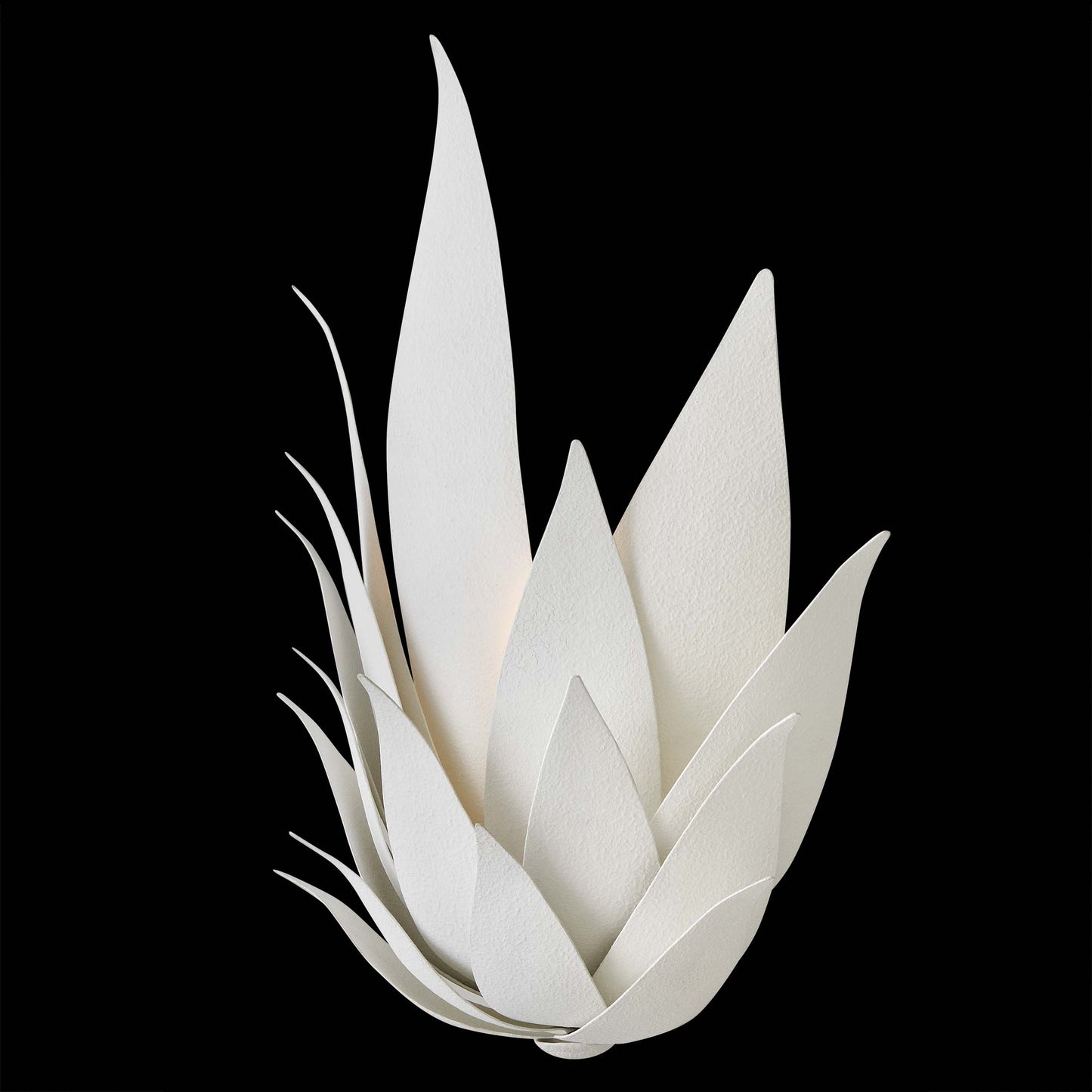 Agave Wall Light in Detail.