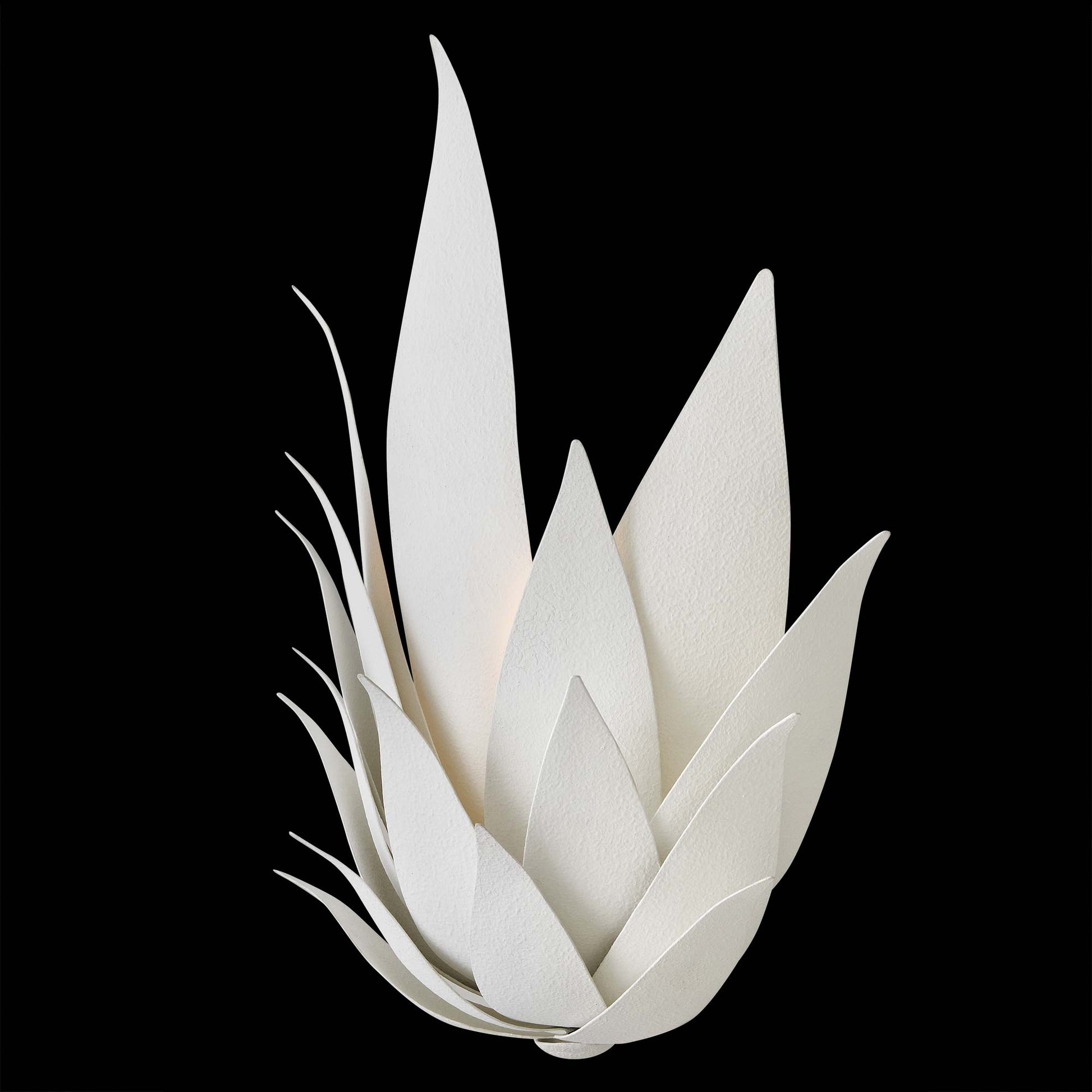 Agave Wall Light in Detail.
