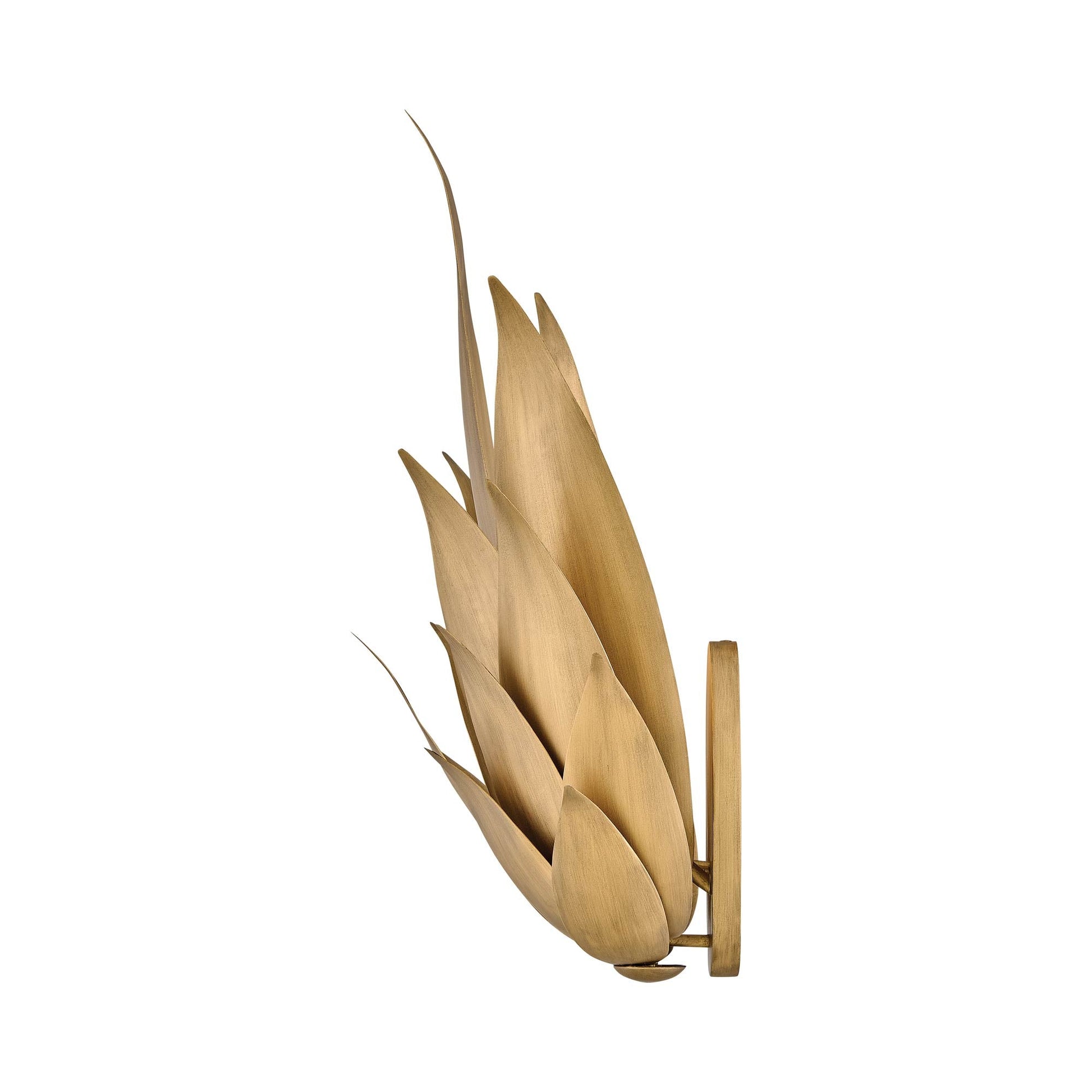Agave Wall Light in Detail.