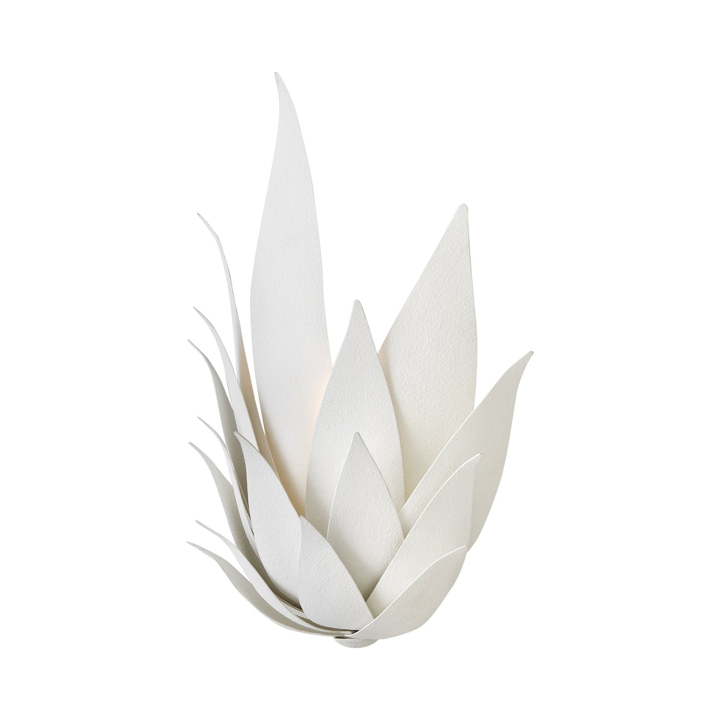 Agave Wall Light in Detail.