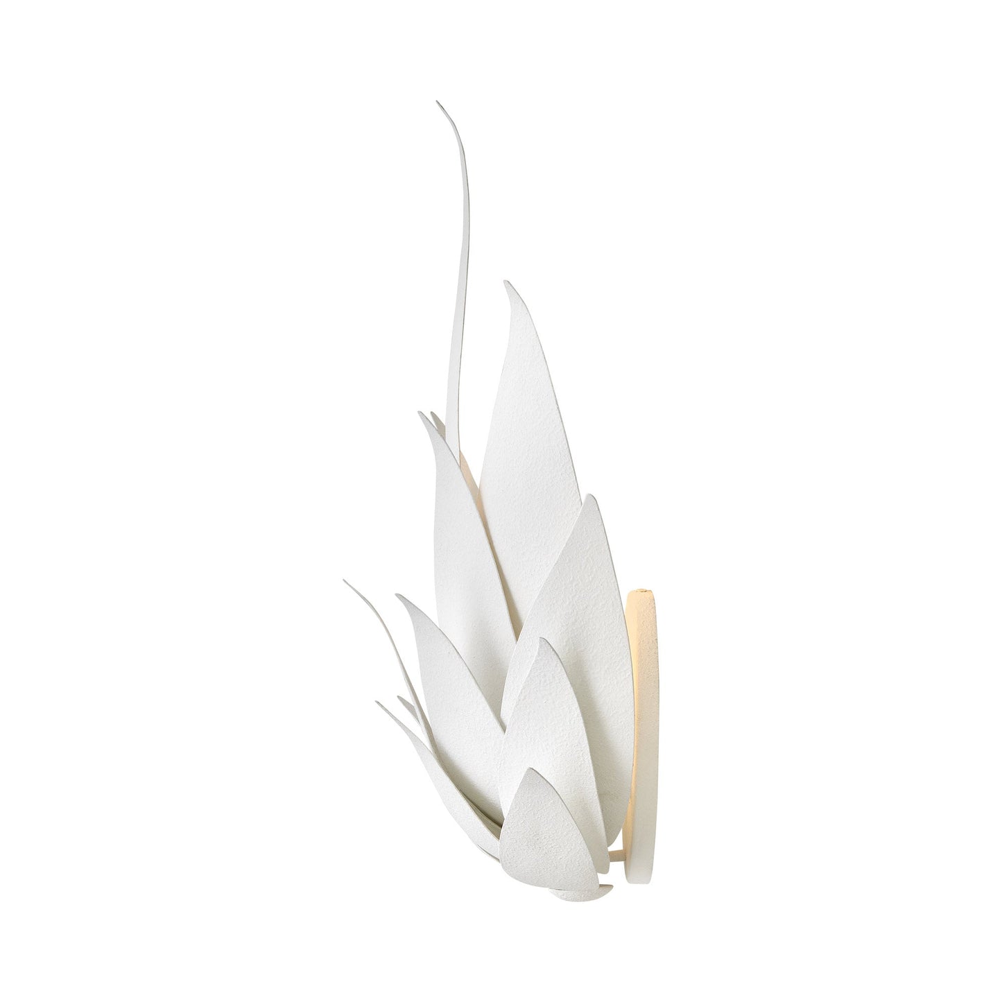 Agave Wall Light in Detail.