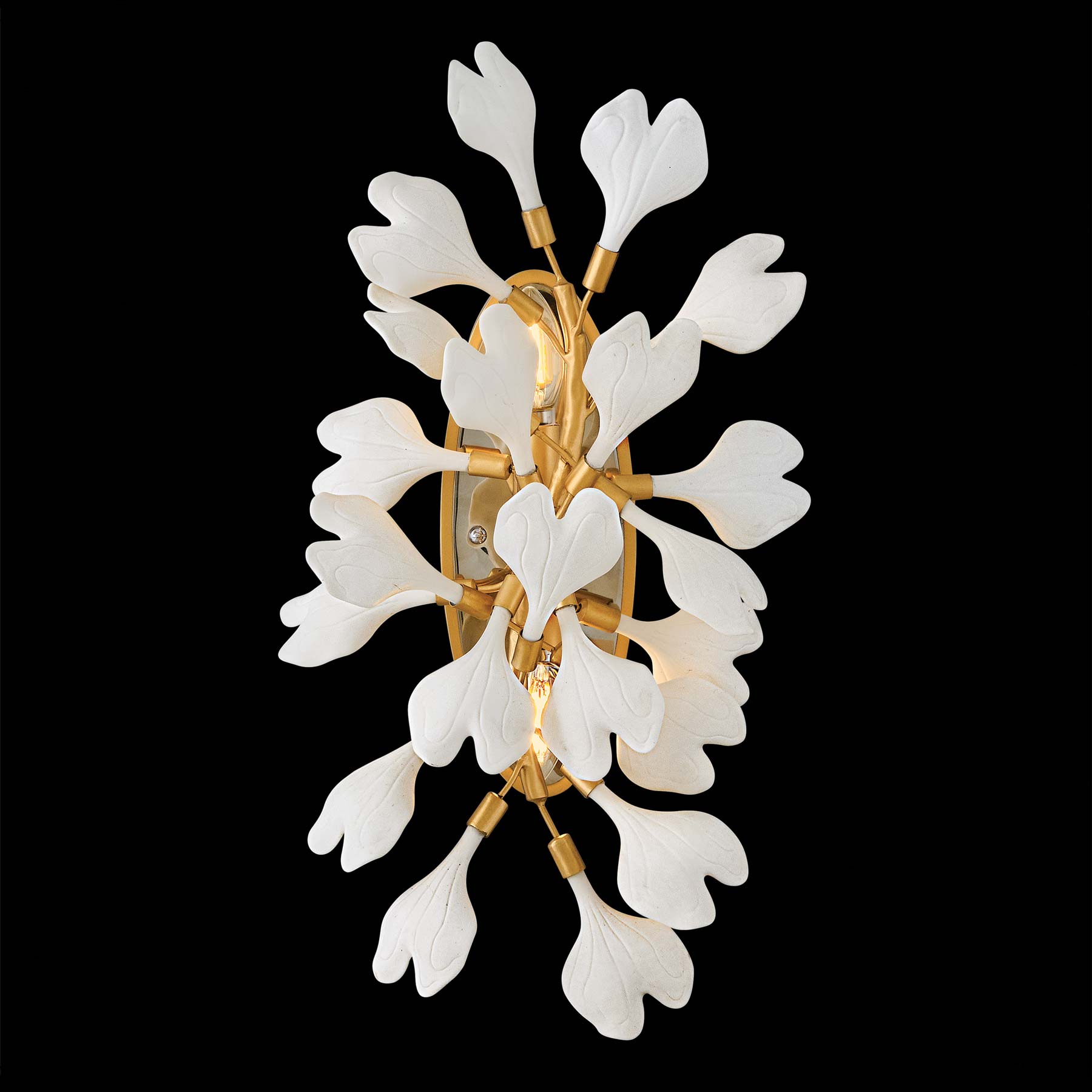 Audra Wall Light in Detail.