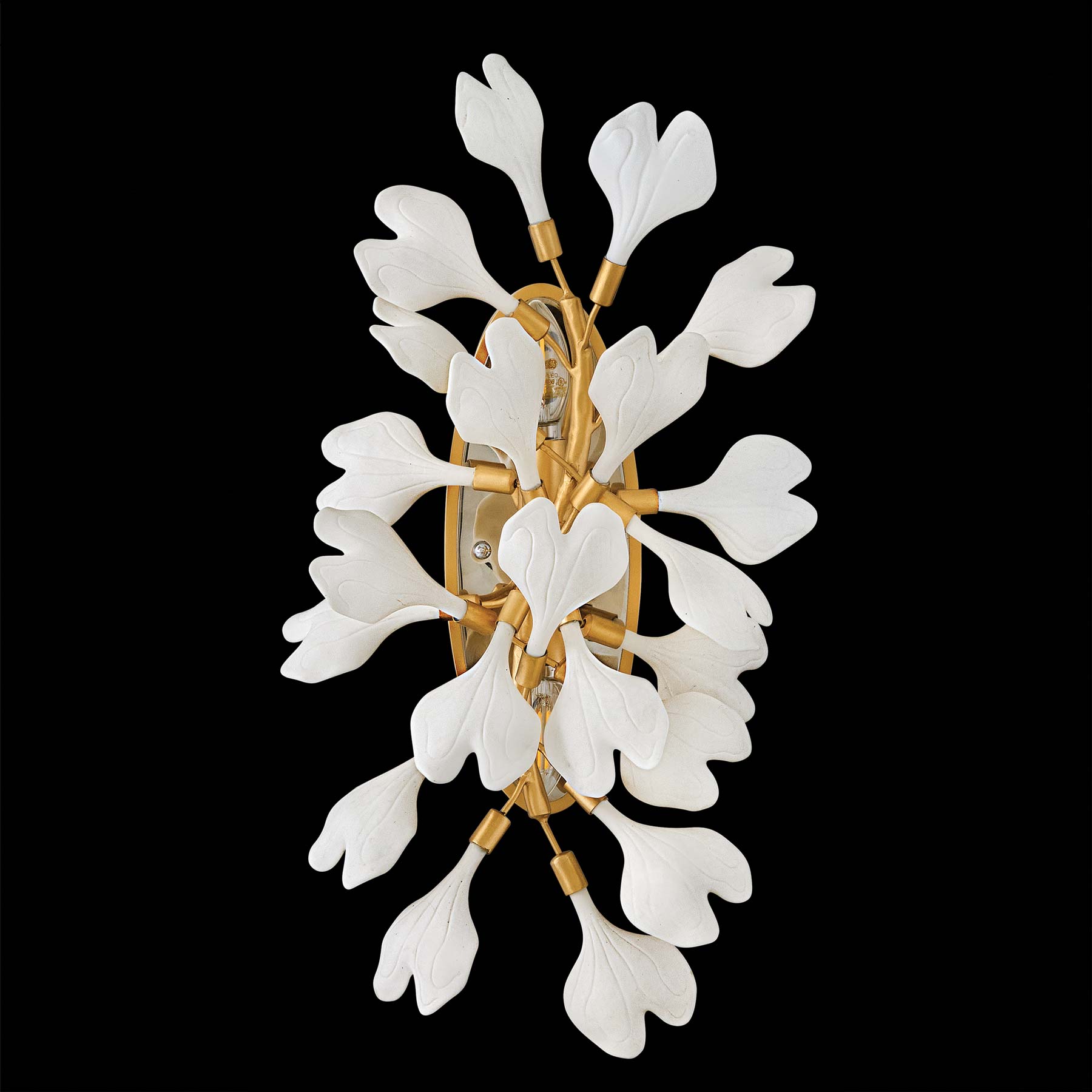 Audra Wall Light in Detail.