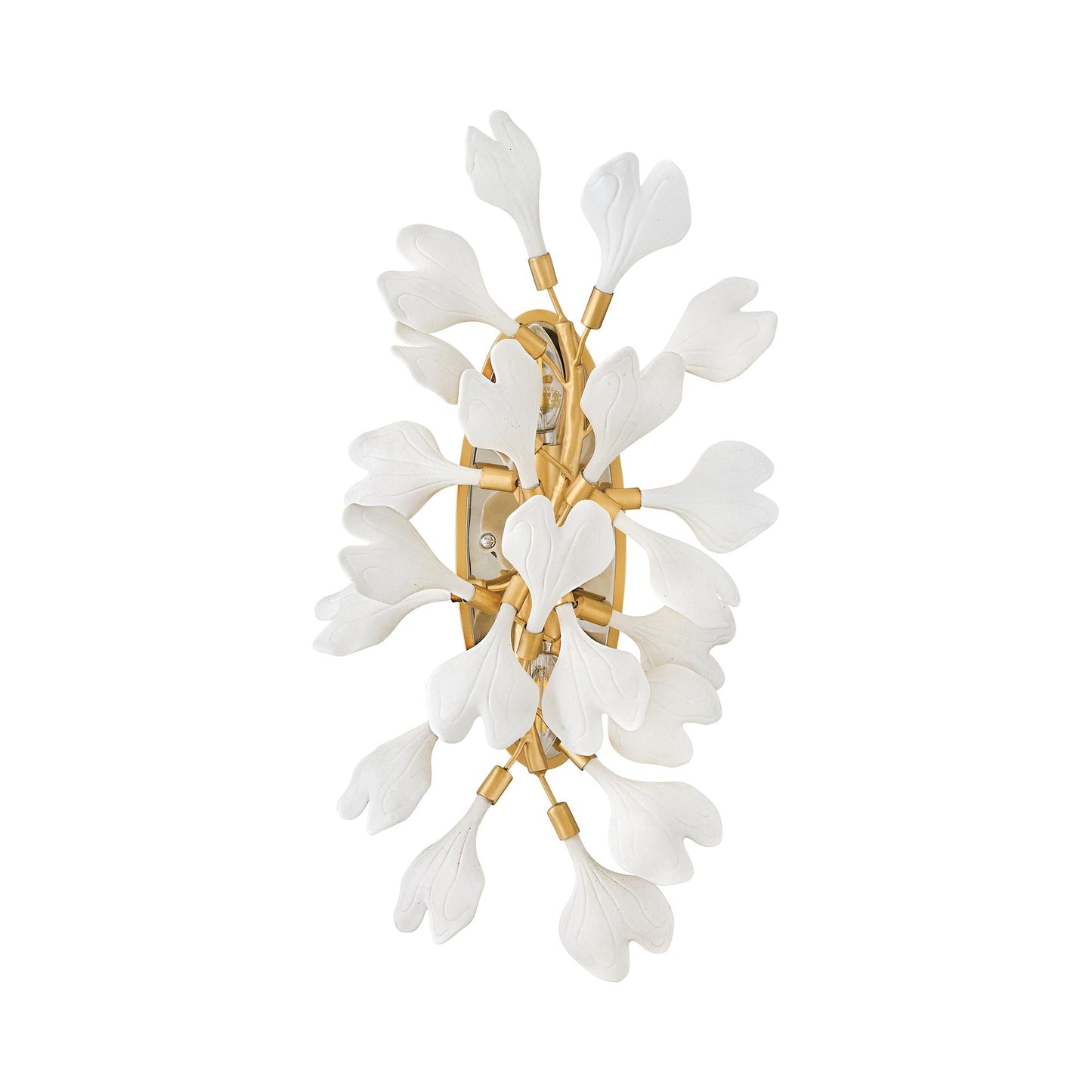 Audra Wall Light in Detail.