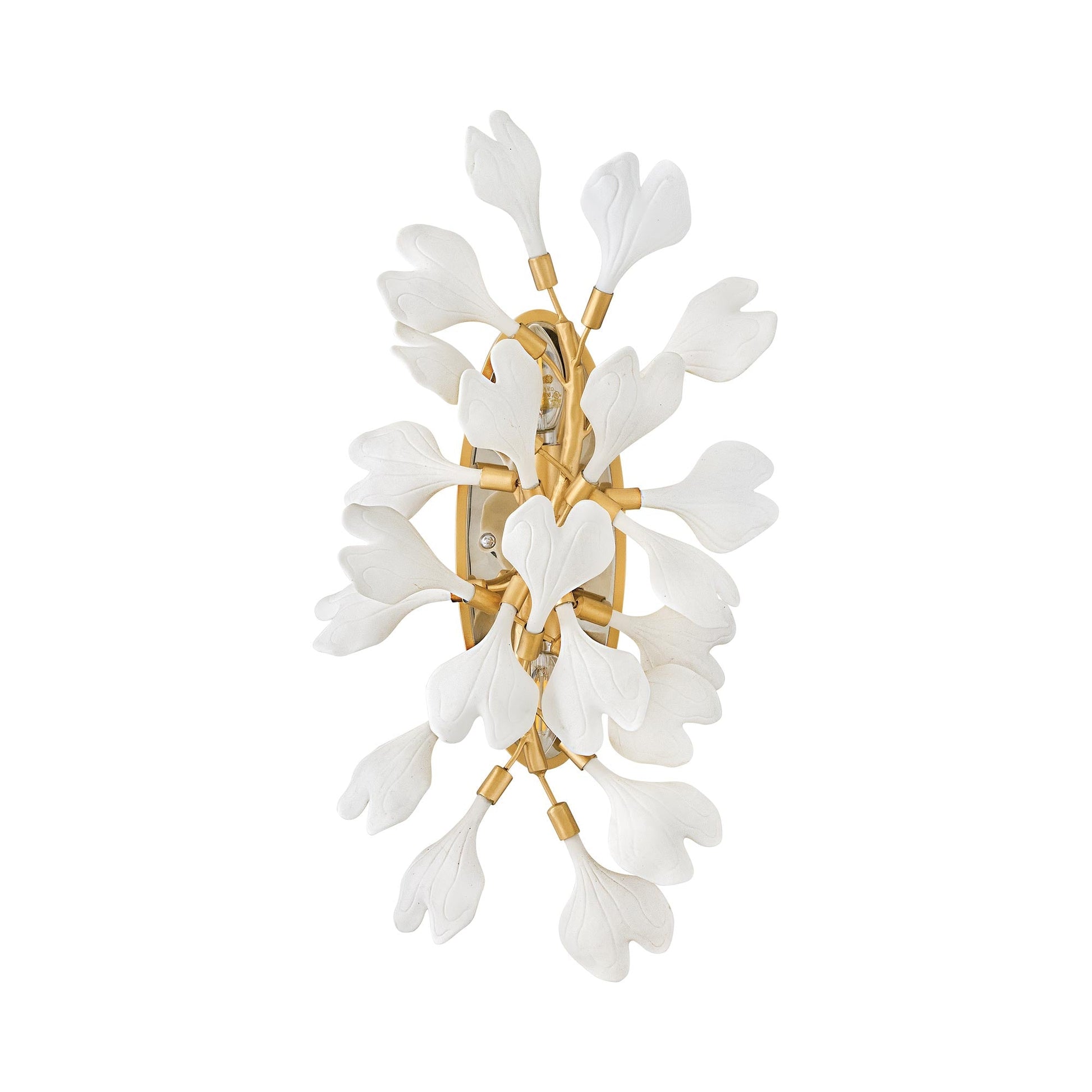 Audra Wall Light in Detail.