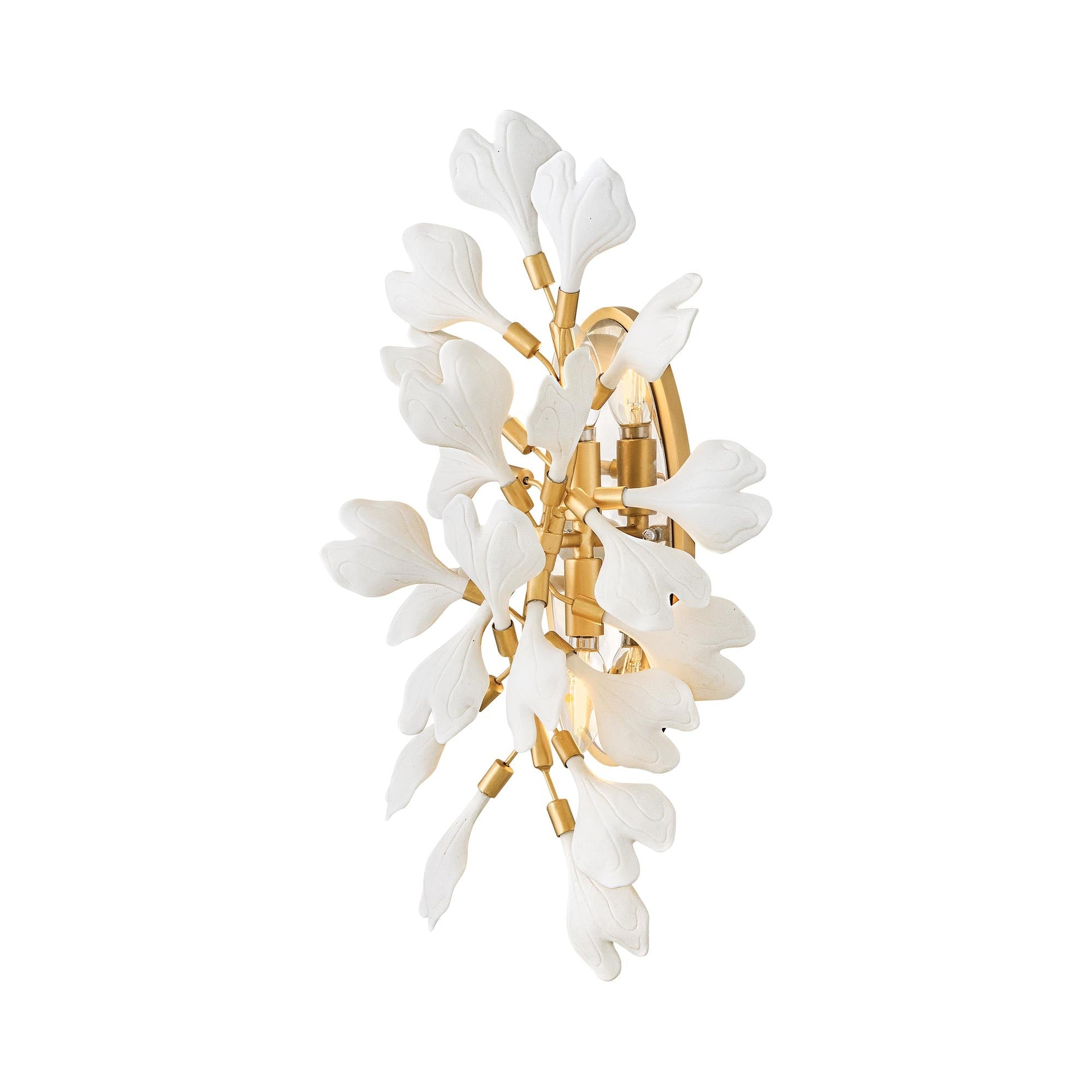 Audra Wall Light in Detail.